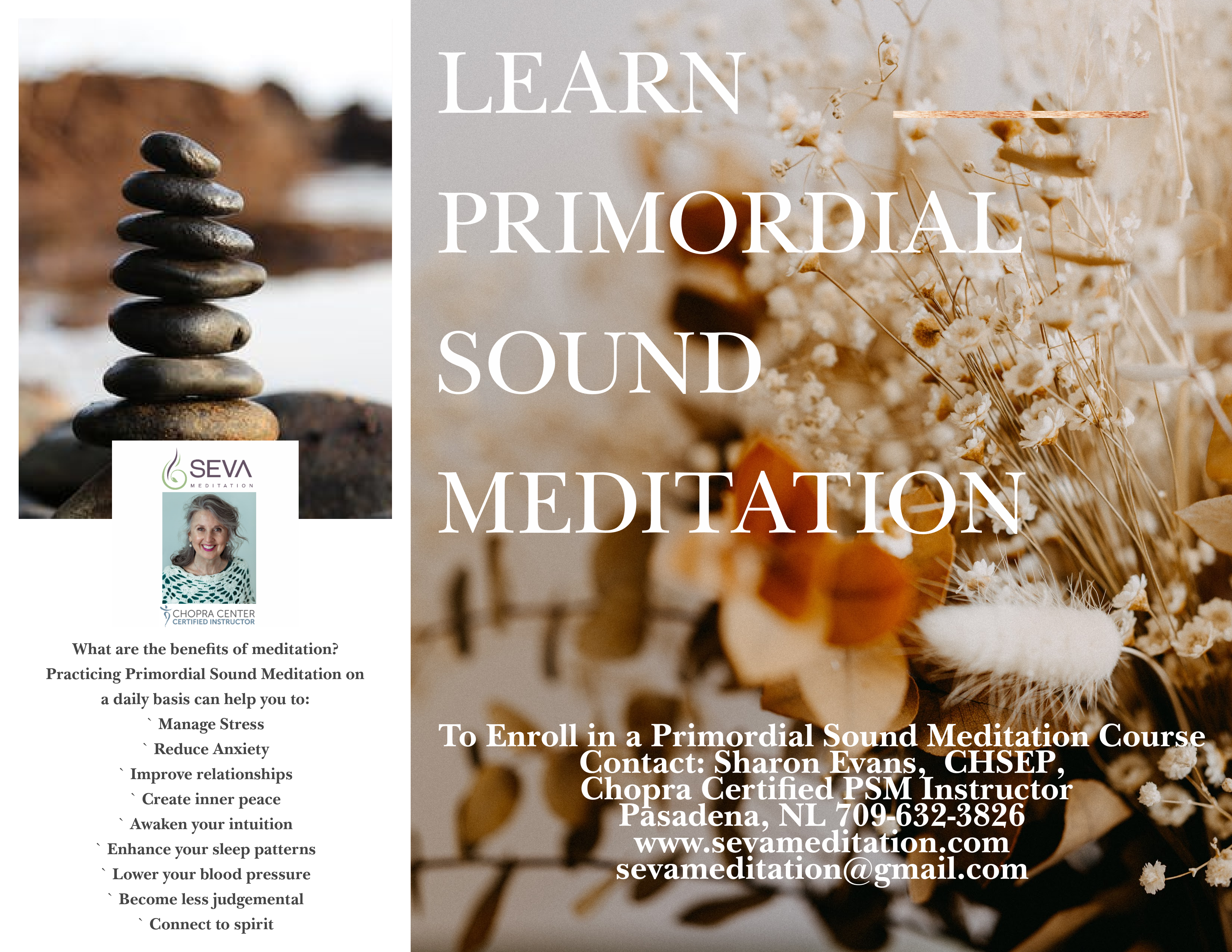 Primordial Sound Meditation Course